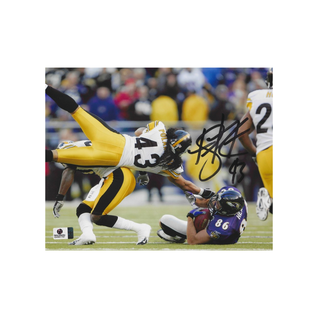Troy Polamalu signed Pittsburgh Steelers 8x10 framed photo, Global Authentics GV957767