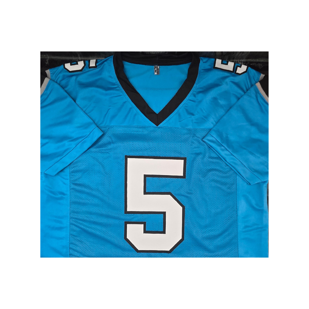 Diontae Johnson Carolina Panthers Autographed Custom Football Jersey With COA - Fan Freaks