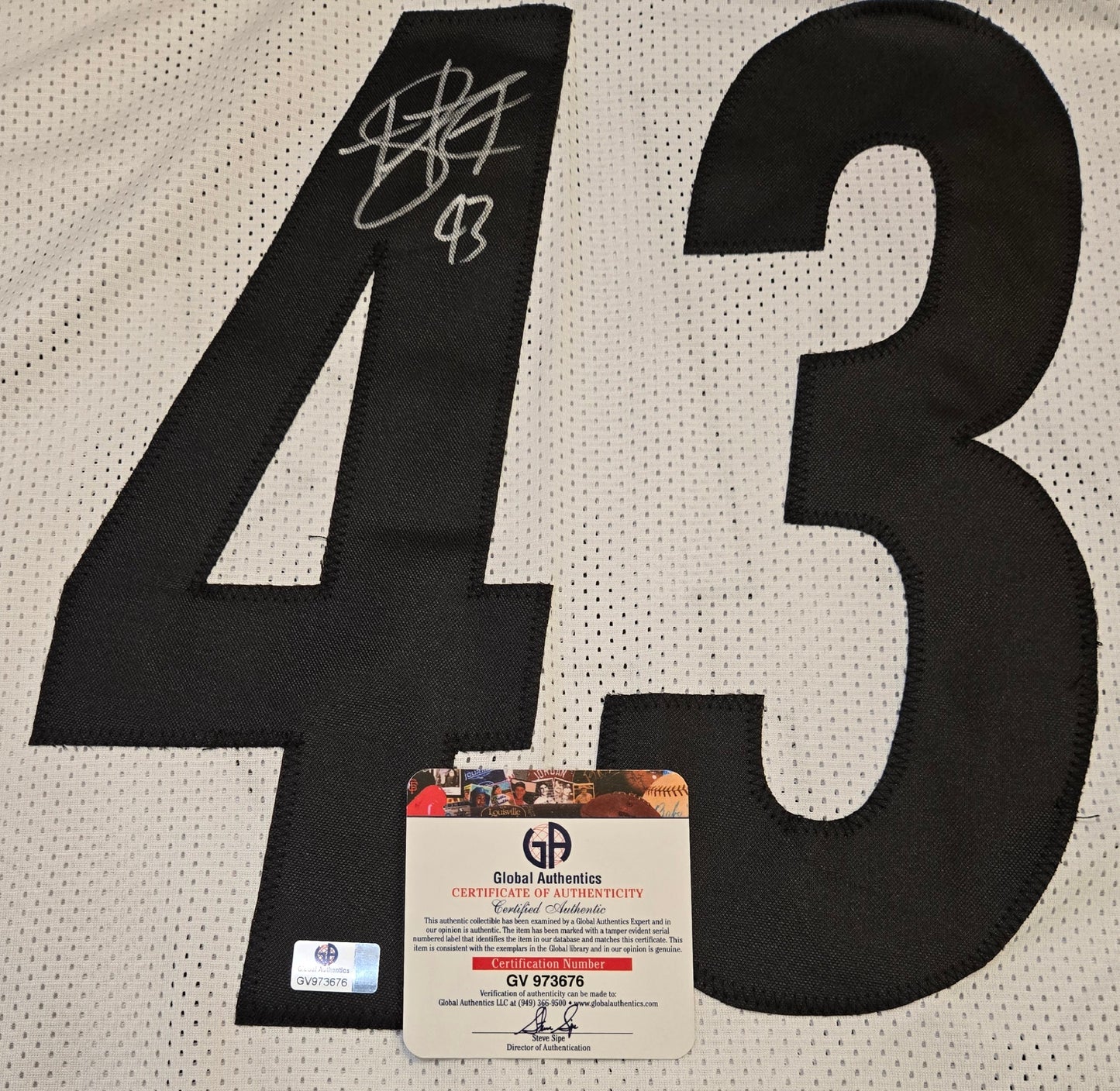 Troy Polamalu Pittsburgh Steelers Autographed Football Jersey coa