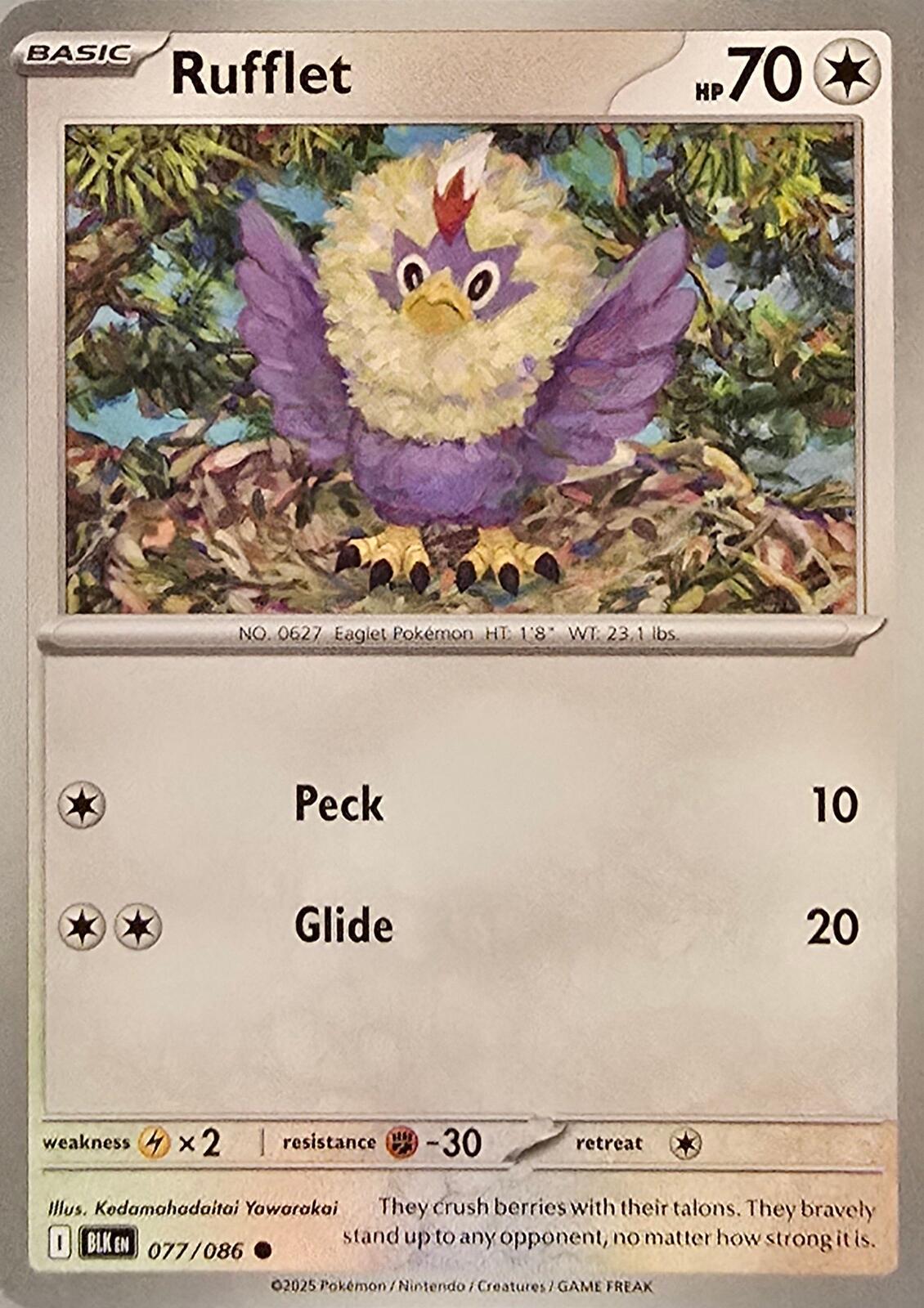 Rufflet Pokémon card from the Scarlet & Violet: Black Bolt
