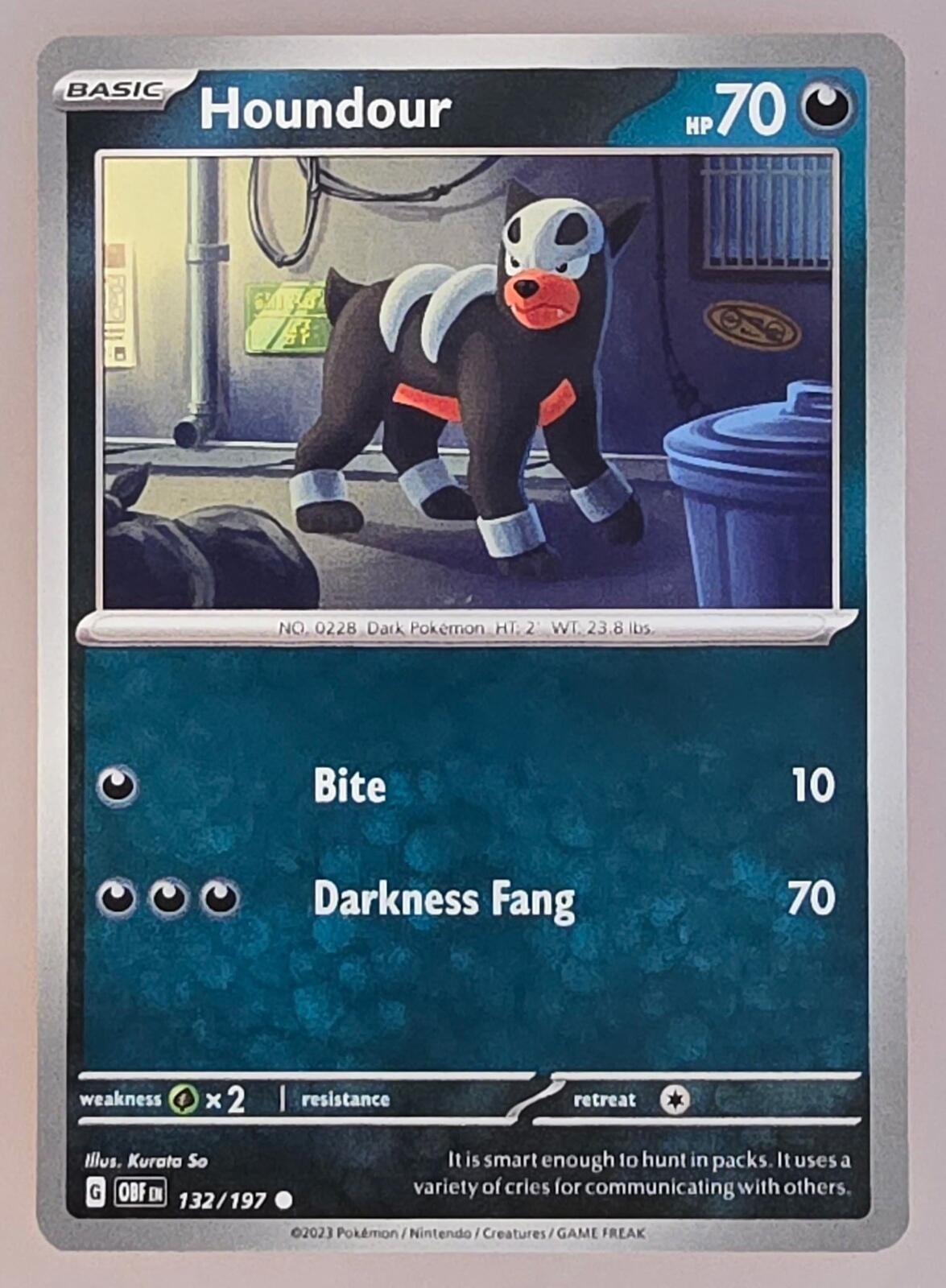 Houndour #132/197