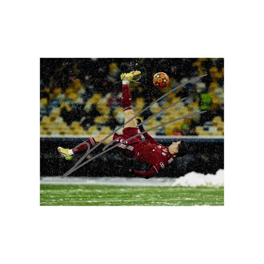 Robert Lewandowski FC Bayern Munich  Signed Photo Print Autograph Wall Art