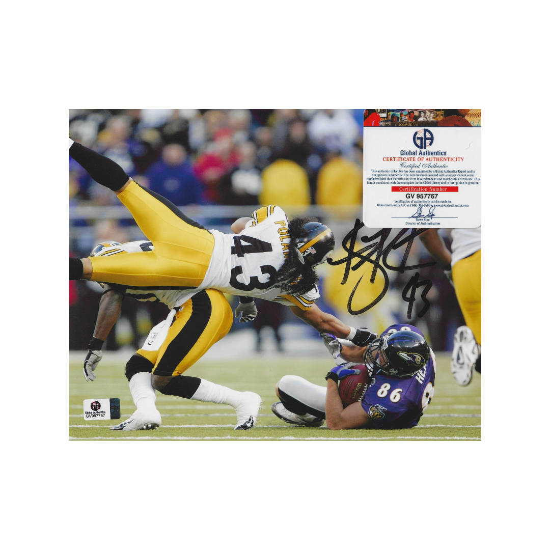Troy Polamalu autographed framed Steelers 8x10 photograph, Global Authentics GV957767