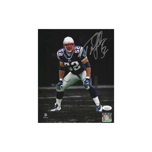 Ted Johnson New England Patriots Autographed 8x10 Photo coa - Fan Freaks