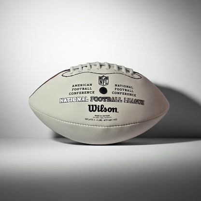 Joe Burrow autographed Bengals 9-inch mini football, additional product image