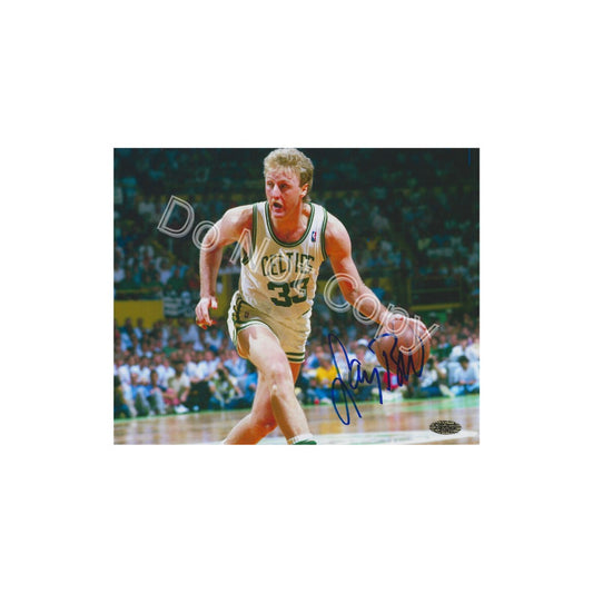 LARRY BIRD SIGNED BOSTON CELTICS 8X10 PHOTO REPRINT - Fan Freaks