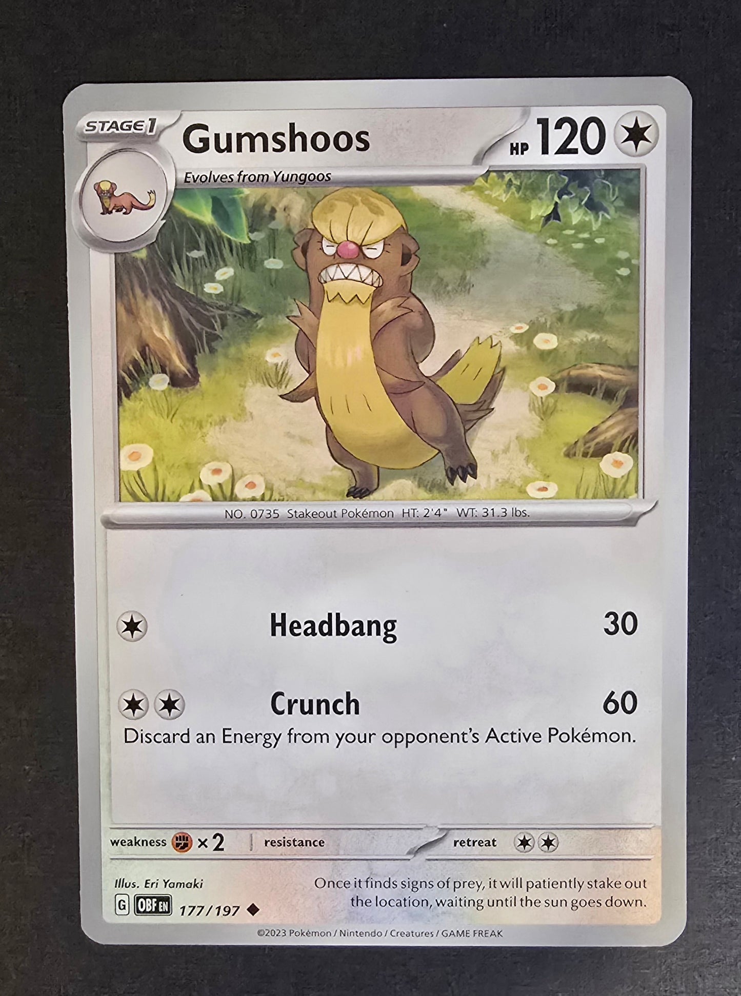 Gumshoos Pokémon card from the Scarlet & Violet: Obsidian Flames set, 177/197